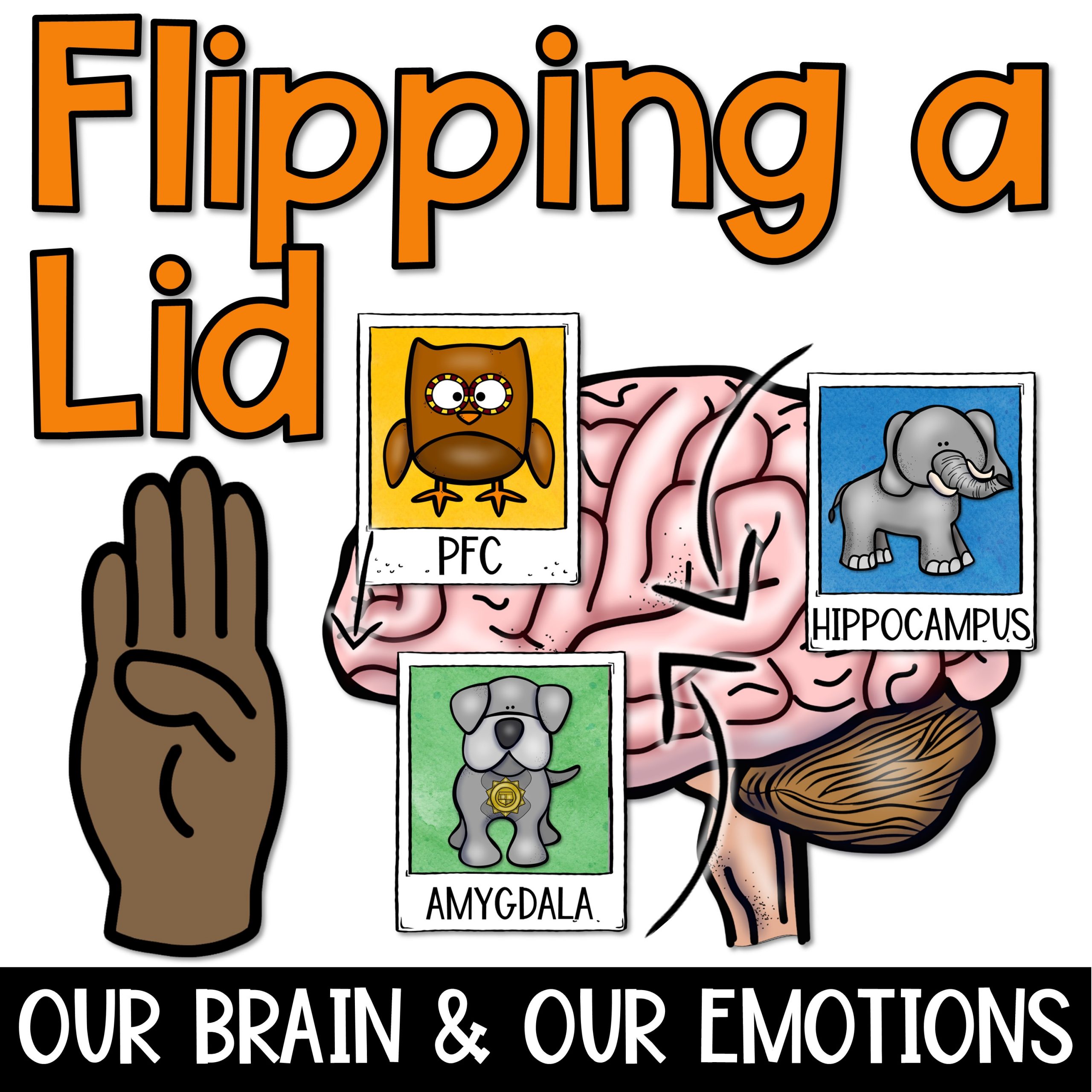 flipping-a-lid-brain-activities-and-lesson-shop-the-responsive-counselor